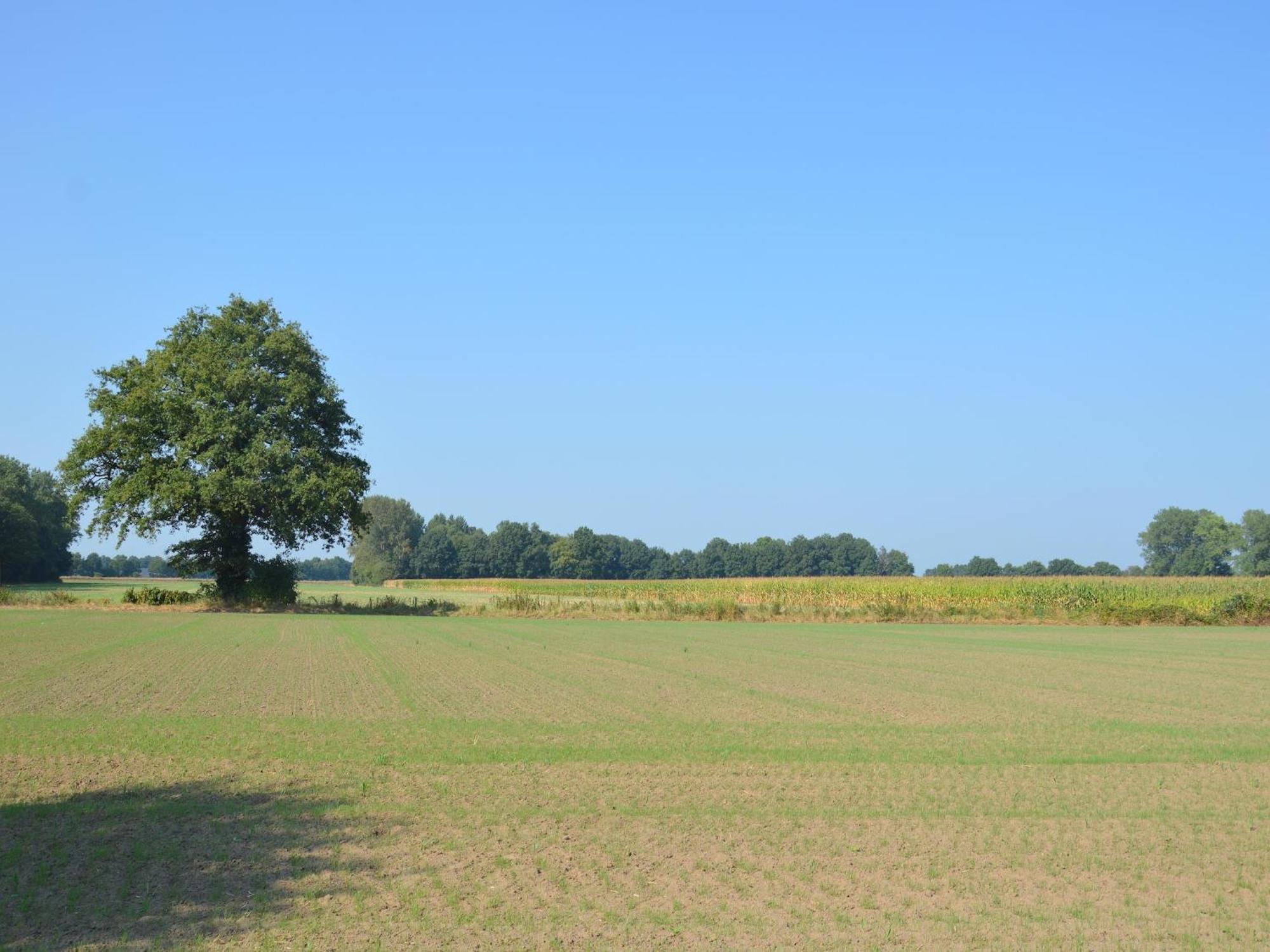 Quaint Farmhouse In Geesteren With Meadow View Eksteriør bilde